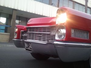Cadillac19